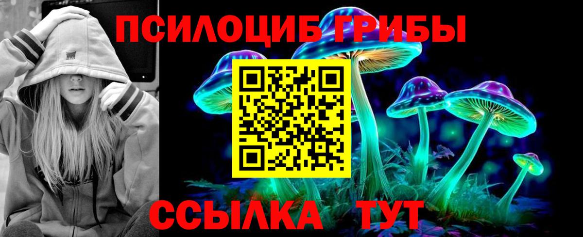 Галлюциногенные грибы MAGIC MUSHROOMS Карачаевск